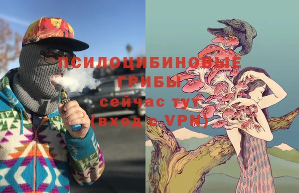крисы Вяземский
