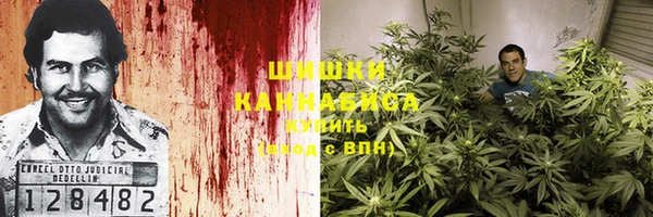 крисы Вяземский