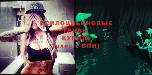 крисы Вяземский