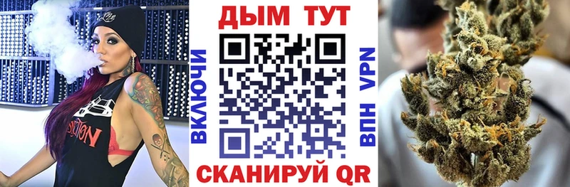 Купить  Печора  Марихуана сатива 